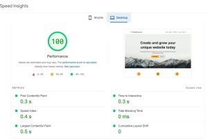 PageSpeed Insights测试