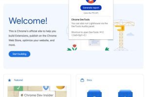 Lighthouse使用方法