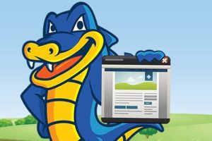 HostGator虚拟主机价格