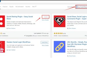 点击安装并激活插件