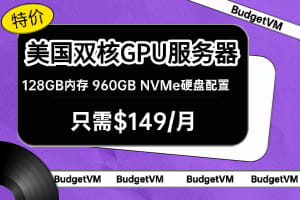 BudgetVM特价美国双核GPU服务器 128GB内存960GB NVMe硬盘配置只需$149/月