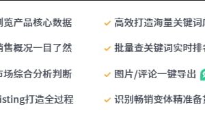 卖家精灵插件版