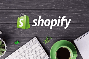 Shopify费用有哪些