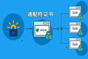 通配符证书支持几级域名