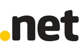 net域名