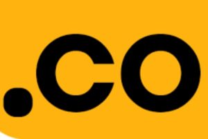 .co域名