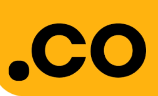 .co域名