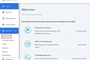 取消BlueHost帐户