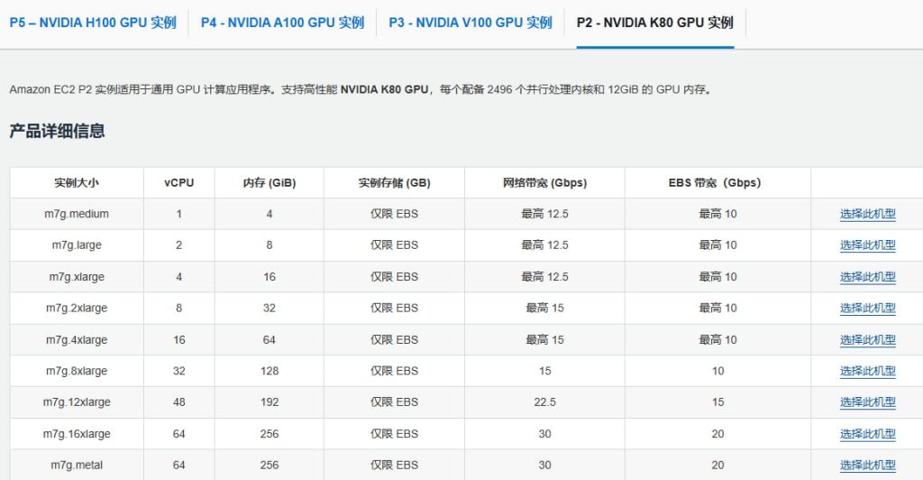 Amazon EC2 P系列实例