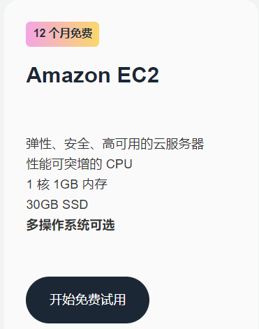 亚马逊AWS云服务器