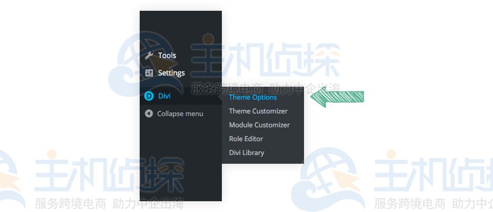 单击 Divi-主题选项