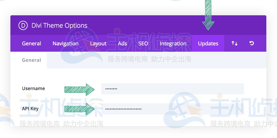 单击 Updates 选项卡