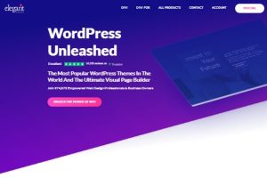 Divi主题新年优惠