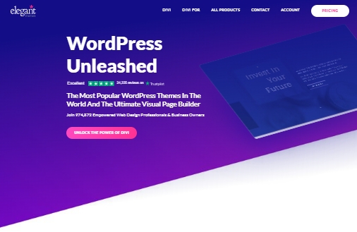 Divi主题新年优惠