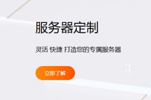 国外定制服务器