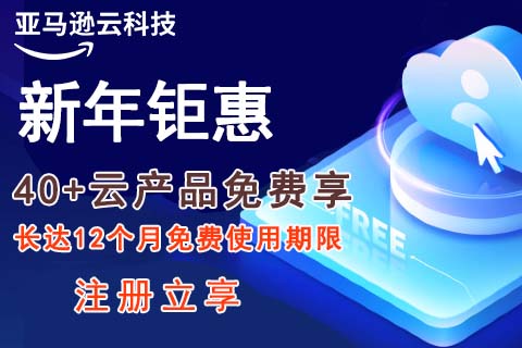 亚马逊云科技