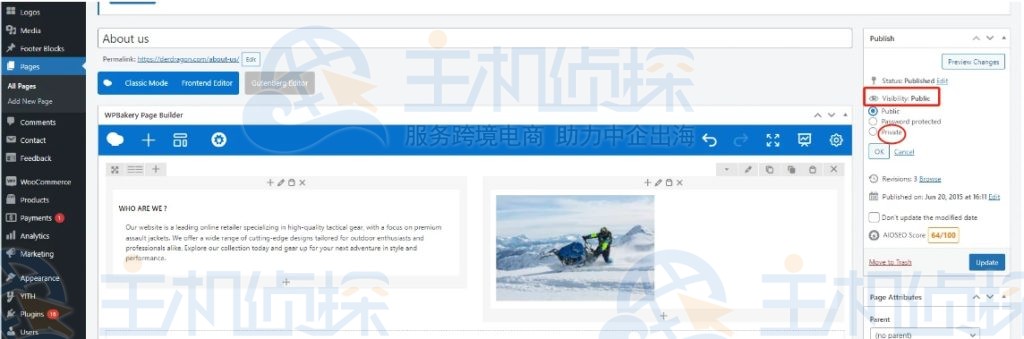 将页面设置为密码保护