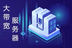 低价大带宽服务器推荐