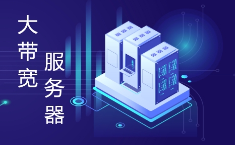 低价大带宽服务器推荐
