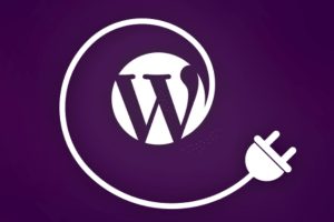 WordPress网站中的“无法加载资源”修复教程