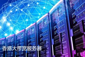 企业用大带宽服务器可以吗