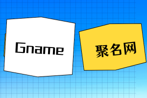 Gname和聚名