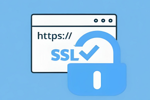 网站SSL证书有必要开吗