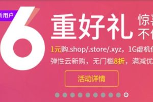 西部数码新年促销