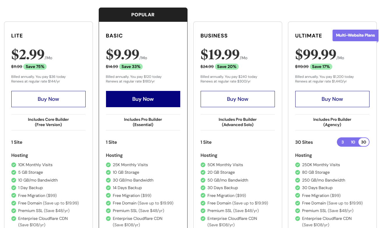 Elementor新年促销