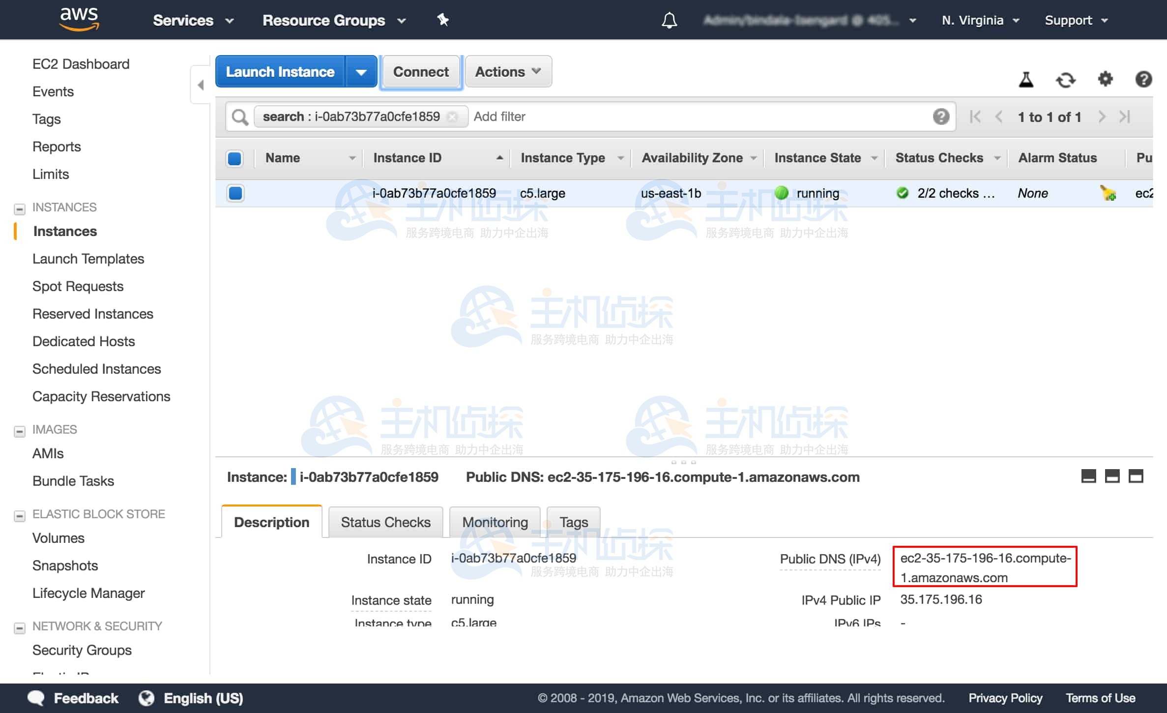 查找并复制实例的公共 DNS