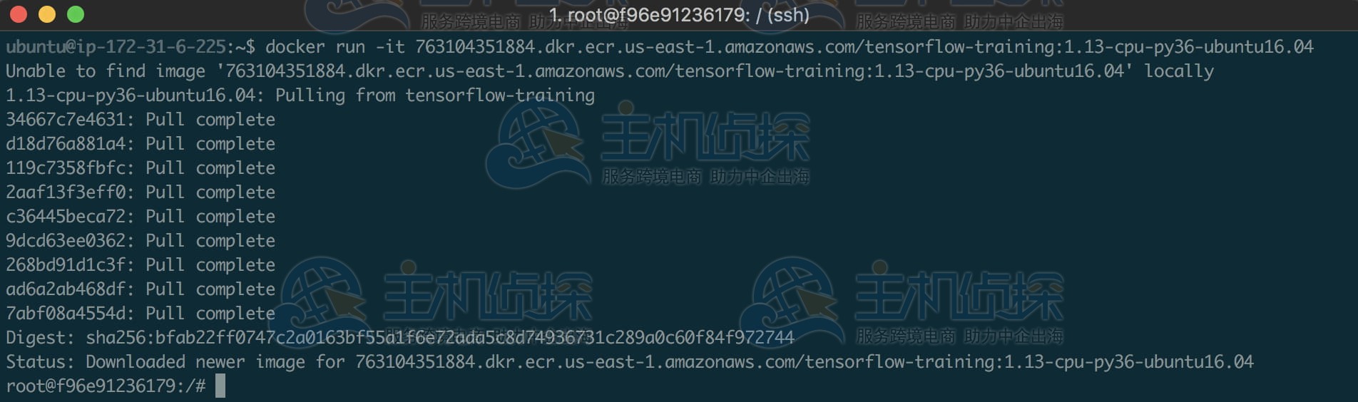 运行AWS Deep Learning Containers