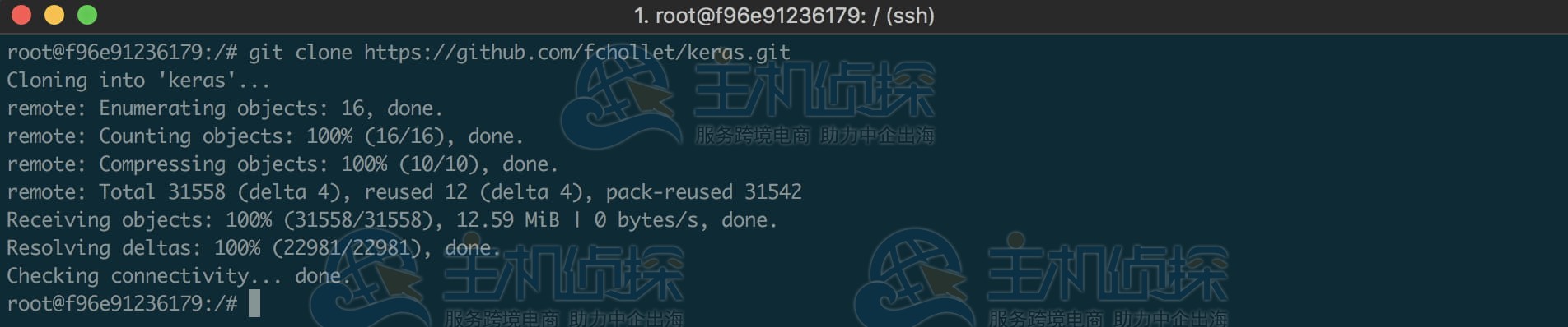 拉取示例模型进行训练