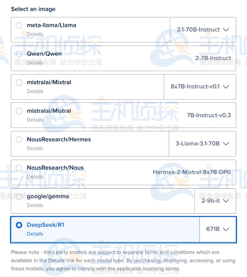 选择DeepSeek R1模型