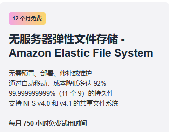 无服务器弹性文件存储