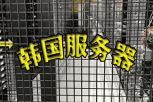 韩国服务器