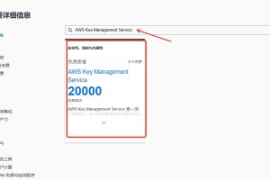 输入“AWS Key Management Service”