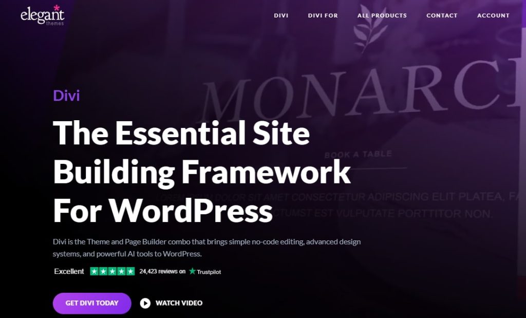 WordPress外贸主题Divi