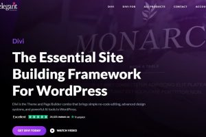 WordPress外贸主题Divi