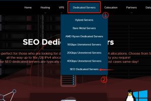 SEO服务器选择推荐RackNerd