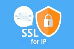 SSL证书可以绑定IP吗