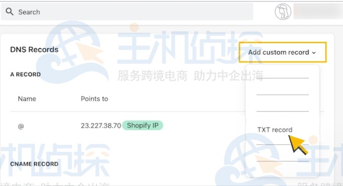 更新Shopify DNS设置
