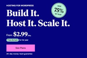 Elementor新年促销