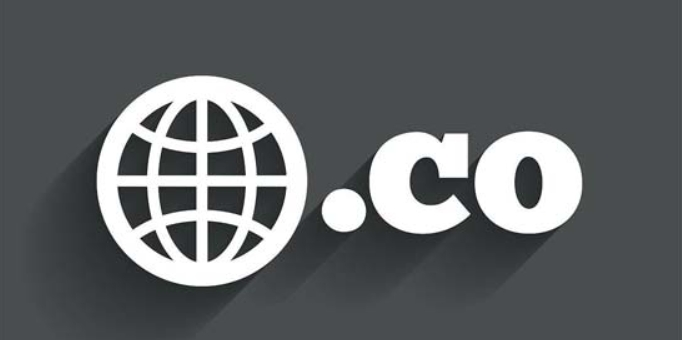 co域名