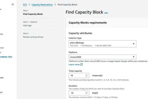 Amazon EC2 P5en实例使用