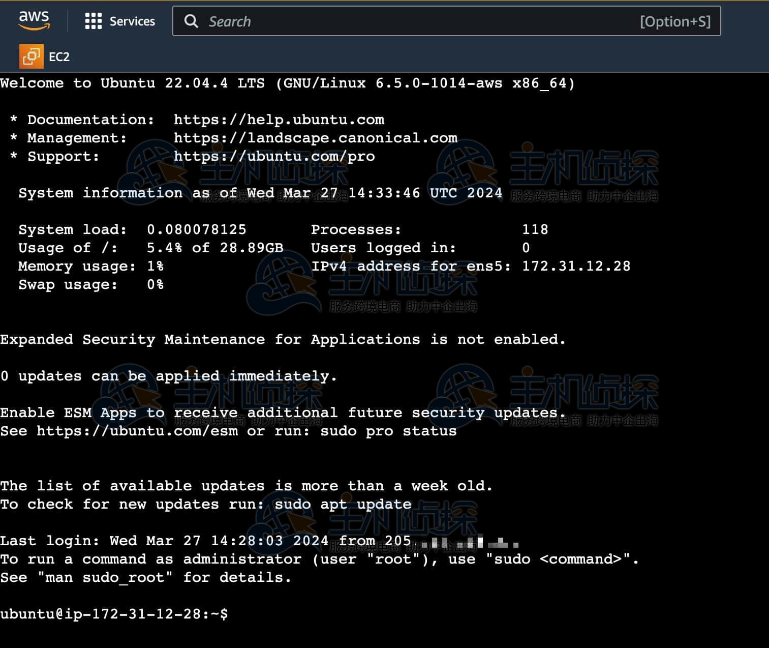 输出相应的版本号