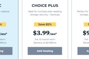 Bluehost WordPress建站方案