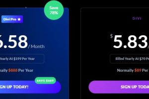 Divi主题国内使用年付价格方案