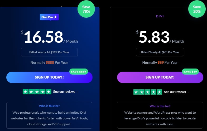 Divi主题国内使用年付价格方案