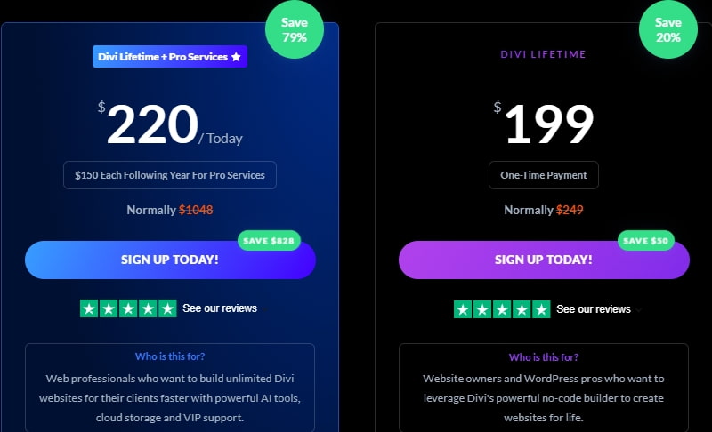 Divi主题国内使用终身版价格方案