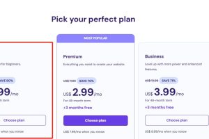 指向“Single”Hostinger单网站主机方案